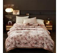 Couverture Lourde en Vison Style Coréen pour Très Grand Lit, 2 Plis Édition A & B Couverture Polaire Raschel en Peluche De 3.5 Kg pour l'hiver, Douce Et Chaude,D,200x230cm/8Lb