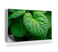 Couverture Magnétique 100x60 cm Cache Radiateur Anti-poussière Tapis Design pour Radiateurs Facile à Installer Protège et Décore - Gros Plan d'une Feuille et de Gouttes de rosée