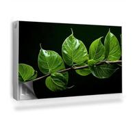 Couverture Magnétique 100x60 cm Cache Radiateur Facile à Installer Anti-poussière Tapis Design pour Radiateurs Protège et Décore - Un rameau aux Feuilles d'un Vert Intense