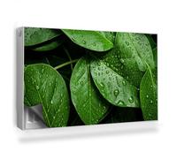 Couverture Magnétique 100x60 cm Tapis Design pour Radiateurs Protège et Décore Facile à Installer Cache Radiateur Anti-poussière - Gros Plan de Nombreuses Feuilles, Gouttes de rosée, Nature