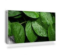 Couverture Magnétique 110x60 cm Tapis Design pour Radiateurs Protège et Décore Facile à Installer Cache Radiateur Anti-poussière - Gros Plan de Nombreuses Feuilles, Gouttes de rosée, Nature