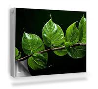 Couverture Magnétique 80x60 cm Cache Radiateur Facile à Installer Anti-poussière Tapis Design pour Radiateurs Protège et Décore - Un rameau aux Feuilles d'un Vert Intense