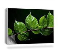 Couverture Magnétique 90x60 cm Cache Radiateur Facile à Installer Anti-poussière Tapis Design pour Radiateurs Protège et Décore - Un rameau aux Feuilles d'un Vert Intense