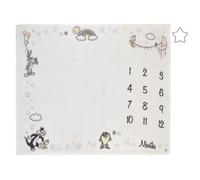 Couverture Milestone Looney Tunes Best Buds blanche avec bleu pastel, rose et jaune, Bugs Bunny, Titi, le Diable de Tasmanie et Sylvester le chat