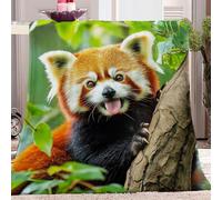 Couverture Panda Roux Animal Mignon Couverture de Flanelle 150 x 200 cm, Vert Marron Couverture Douce Et Chaude Plaid Jeté Canapé Flanelle Impression Numérique 3D Flannel Blanket