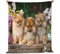 Couverture Plaid Flanelle 220x240 cm Épais Couvertures Polaire d'automne Chaud, Mignon Poméranien Fleurs Sauvages Imprimé Moelleuse Légères Marron Vert Couvertures pour Voyager Lit ou Canapé