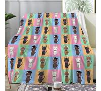 Couverture Plaid Polaire Imprimée sur Le Thème des Chat Écossais - Flanelle Couverture Polaire 160x200 comme Jeté de Canapé ou Jete de Lit - Plaid Chaud Automne Doux avec Motif de Cartoon A44