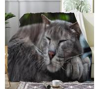 Couverture Plaid Polaire Imprimée sur Le Thème des Portraits de Chats - Flanelle Couverture Polaire 220x240 comme Jeté de Canapé ou Jete de Lit - Plaid Chaud Automne Doux avec Motif de Mignon A91