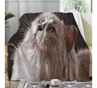 Couverture Plaid Polaire Imprimée sur Le Thème des Portraits de Chats - Flanelle Couverture Polaire 220x240 comme Jeté de Canapé ou Jete de Lit - Plaid Chaud Automne Doux avec Motif de Mignon A96