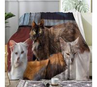 Couverture Plaid Polaire Imprimée sur Le Thème des Portraits de Chats - Flanelle Couverture Polaire comme Jeté de Canapé ou Jete de Lit - Plaid Chaud Automne Doux avec Motif de Mignon 100x130 A61