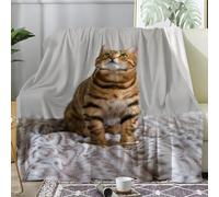 Couverture Plaid Polaire Imprimée sur Le Thème des Portraits de Chats - Flanelle Couverture Polaire comme Jeté de Canapé ou Jete de Lit - Plaid Chaud Automne Doux avec Motif de Mignon 130x170 A34