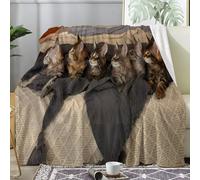 Couverture Plaid Polaire Imprimée sur Le Thème des Portraits de Chats - Flanelle Couverture Polaire comme Jeté de Canapé ou Jete de Lit - Plaid Chaud Automne Doux avec Motif de Mignon 130x150 A67