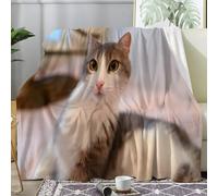 Couverture Plaid Polaire Imprimée sur Le Thème des Portraits de Chats - Flanelle Couverture Polaire comme Jeté de Canapé ou Jete de Lit - Plaid Chaud Automne Doux avec Motif de Mignon 130x150 A64
