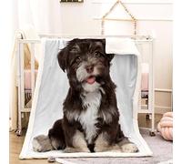 couverture plaid polairec Enfant Bichon Havanais 100x130 Chien De Compagnie Flanelle Couverture lit 1 Personne Microfibre épaisse chaude pour couverture de canapé douillette,Pique Nique,Camping