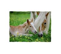 Couverture Polaire d'environ 180 x 135 cm - Motif Jument Haflinger avec Poulain