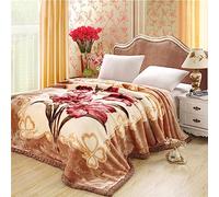 Couverture Polaire en Vison Coréen Lourde, Réversible, À Deux Plis,en Peluche, Chaude, Douce Et Soyeuse, pour L'automne Et l'hiver,E,180 * 220/71x87in 3Kg