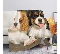 Couverture Polaire Épagneul Cavalier King Charles, 3D Jaune Noir Plaid Polaire Lit 1 Personne Hiver Microfibre Fluffy Couverture 130x150 cm Doux et Chaud Plaid pour Canapé et Lit, Adultes Enfants