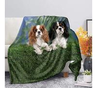 Couverture Polaire Mignon, 3D Épagneul Cavalier King Charles Plaid Polaire Lit 1 Personne Hiver Microfibre Fluffy Couverture 180x220 cm Doux et Chaud Plaid pour Canapé et Lit, Adultes Enfants