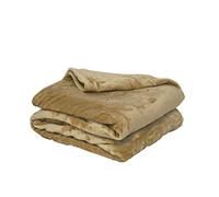 Couverture Polaire Polyester Beige 220 x 240 cm - POYET MOTTE - Gamme MICROFLANELLE