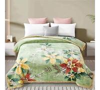 Couverture Polaire pour Très Grand Lit, Couverture Lourde en Vison De Style Coréen, Douce Et Chaude,4.5Kg 2 Plis, Imprimé Raschel A&B pour l'hiver,Vert,200x230cm/9.4Lb