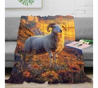 Couverture polaire ultra-douce 3D motif bélier des montagnes au coucher du soleil, couverture en flanelle légère, jeté doux et confortable, couverture chaude et douce pour la sieste d'150 x 200 cm