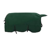 Couverture pour cheval - Vert foncé - 165 cm - Polyester - Imperméable - Respirant - Coupe-vent - Avec doublure indéchirable - Pour pâturage, écurie, transition, extérieur, protection chaude