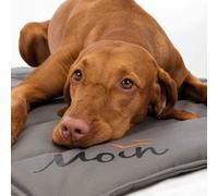 Couverture pour chien 100 x 65 cm BE NORDIC Moin gris lavable enroulable