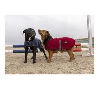 Couverture pour chien en nylon Diego & Louna Teddy Bleu 26 cm