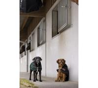 Couverture pour chien en nylon Diego & Louna Teddy Noir 36 cm