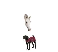 Couverture pour chien polaire Diego & Louna Teddy Rouge 26 cm