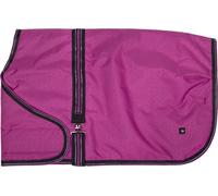 Couverture pour poulains QHP Turnout Collection