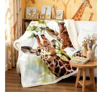 Couverture Sherpa Dinosauree 3D Pterosaur pour Enfants,garçons,Filles,Animaux de la Jungle,couverturestyle faunique bébé 76,2 x 101,6 cm Double(60"x79")