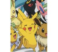Couverture Sherpa - POKEMON - Evolutions - 100 x 150 cm