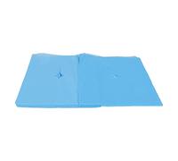 Couvertures de Berceau de Face Jetable, Couvercles de Support de Table de Massage Conception de Trou Bonne Absorption d'eau Houte à Casqueur Disposable Cover 100pcs Couvercle de Massage de Repos