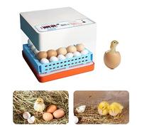 Couveuse à Oeuf, Couveuse Oeuf Automatique 12/24 Oeufs, Contrôle Humidité, Réglage Température, Appareil D'incubation, Retournement Automatique Oeufs, pour Oeuf canard, Oeufs d'oie Et Oeufs Pigeon