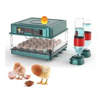 Couveuse à œufs Automatique température constante avec Rotation des Remplissage d Eau et Conception tiroir Polyvalente pour Divers de volaille
