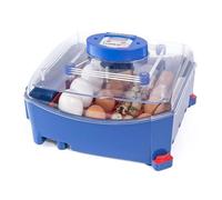 Couveuse automatique 16 oeufs Borotto Lumia