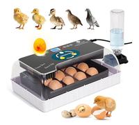 Couveuse Automatique à 12 Œufs avec Régulation Intelligente Précise de Température et Humidité, Éclairage LED, Incubateur Polyvalent pour Œufs de Tortue, Poule, Oie, Canard et Pigeon