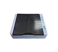 Couveuse Automatique Digitale Poule 36 Œufs - Hhd