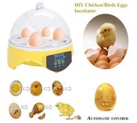 Couveuse automatique - YYV - 7 œufs - Affichage digital - Contrôle de température - Intérieur