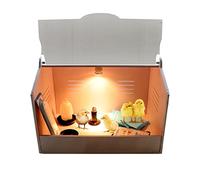Couveuse de poussins avec ensemble d'ampoules et thermomètre pour coussin de pipi pour animaux de compagnie, boîte d'incubation d'équipement d'éclosion adaptée aux poussins, canetons, perroquets, lé