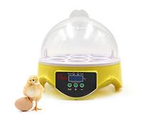 Couveuse D'Oeufs, Couveuse Automatique à 7 Oeufs, ContrôLe Digital Intelligent de La TempéRature, Couveuse Avec Affichage Digital LED, Couveuse Pour Oeufs De Poule, Canard et Caille (EU)