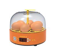 Couveuse Incubateur 6 œUfs Automatique Incubateur Automatique Avec à Affichage NuméRique Et ContrôLe Efficace Et Intelligent De La TempéRature Et De L'Humidité (Automatique à double puissance)