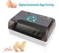 Couveuse Incubateur Automatique 12 oeufs pour Volaille Intelligent Numérique - Contrôle de la température - Gris