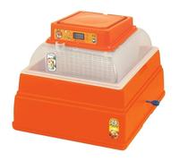 Couveuse - NOVITAL - Covatutto - 230 V - Ecran digital - 24 oeufs de poule