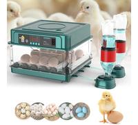 Couveuse Oeuf Automatique 10-36, Incubateur Automatique pour Poules avec Retournement Automatique des œufs, Contrôle de la Température, Remplissage d'eau Externe Automatique-Vert (16 Oeufs)