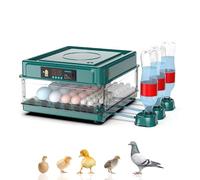 Couveuse Oeuf Automatique 10-36 Oeufs,avec Retournement Automatique des Oeufs et Humidification Automatique,Contrôle De La Température Réglable D'oeuf Intégré pour Poulet, Canard, Oie (36 Oeuf)