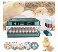 Couveuse Oeuf Automatique 24-36, Incubateur Automatique pour Poules avec Retournement Automatique des œufs, Contrôle de la Température, Remplissage d'eau Externe Automatique-Vert (36 Oeufs)