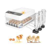 Couveuse Oeuf Automatique 24 Oeufs, Couveuse avec ContrôLe de la TempéRature et de L'humidité, Mireuse à œufs LED, Ajout D’eau Externe, Vue à 360°, , pour Poules, Canards, Cailles et Oiseaux