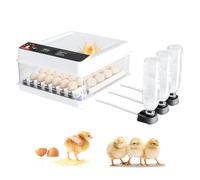 Couveuse Oeuf Automatique 36 Oeufs, Couveuse avec ContrôLe de la TempéRature et de L'humidité, Mireuse à œufs LED, Ajout D’eau Externe, Vue à 360°, , pour Poules, Canards, Cailles et Oiseaux